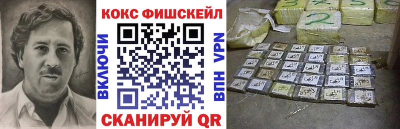 купить  цена  Сосновый Бор  COCAIN Fish Scale 
