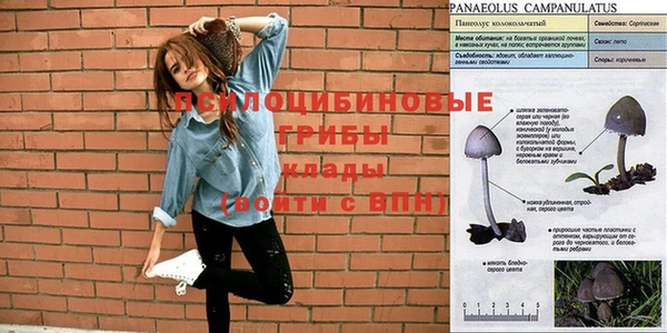 jwh Армянск